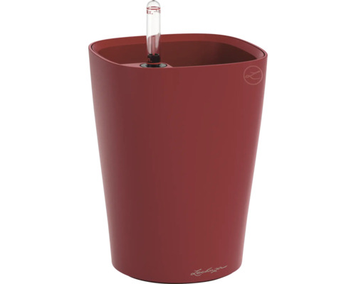 Pot Lechuza Classico avec système d'irrigation