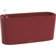 Jardinière Lechuza avec système d'irrigation