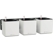 Trois pots de fleurs muraux Lechuza Cube blancs avec indicateur de niveau d'eau.