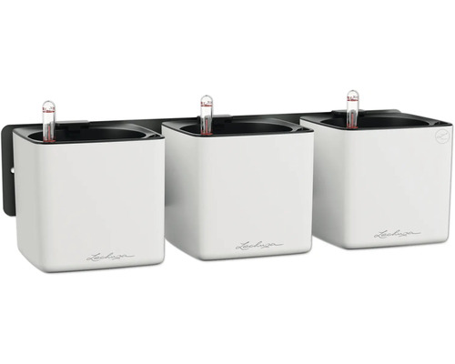 Trois pots de fleurs muraux Lechuza Cube blancs avec indicateur de niveau d'eau.