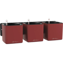 Trois jardinières Lechuza Cube rouges avec système d'irrigation sur un support mural noir.