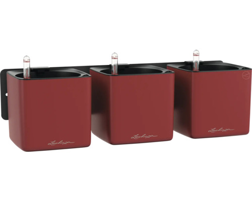 Trois jardinières Lechuza Cube rouges avec système d'irrigation sur un support mural noir.