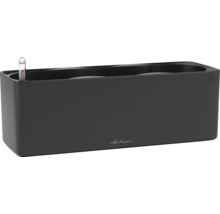 Jardinière Lechuza noire avec indicateur de niveau d'eau