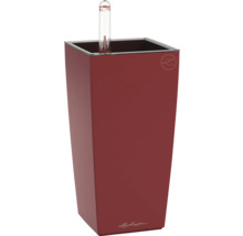 Pot de fleurs rectangulaire Lechuza avec indicateur de niveau d'eau