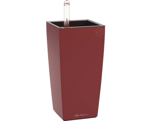 Pot de fleurs rectangulaire Lechuza avec indicateur de niveau d'eau