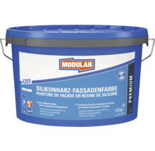 Seau de peinture de façade en résine de silicone Modulan, contenance 5 litres