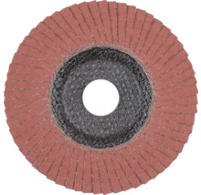 Meule à lamelles pour meuleuse d'angle