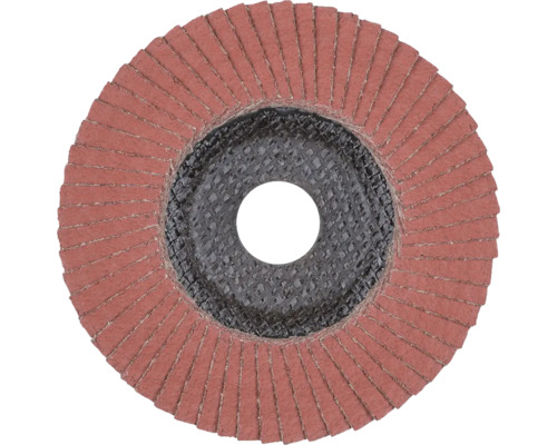 Meule à lamelles pour meuleuse d'angle