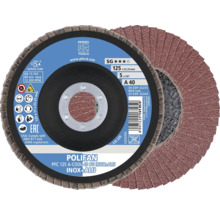 Meule à lamelles Pferd Polifan diamètre 125 mm