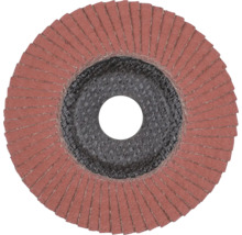 Meule à lamelles pour meuleuse d'angle