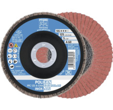 Disque abrasif Pferd Polifan, diamètre 125 millimètres, pour acier inoxydable et aluminium