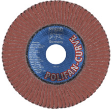 Meule à lamelles Polifan Curve