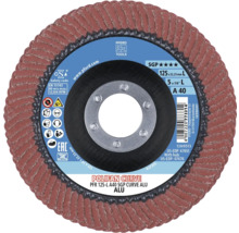 Pferd Polifan Curve Disque à lamelles 125 millimètres