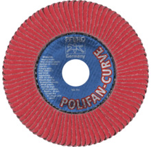 Meule à lamelles Polifan Curve de la marque Pferd