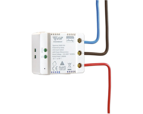 Interrupteur intelligent Ogemray SW40 PbS avec mesure de puissance, 25 Ampères, powered by Shelly, minus 20 à 40 degrés Celsius.