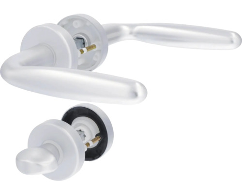 Türbeschlag-Garnitur mit Türgriff und Rosetten