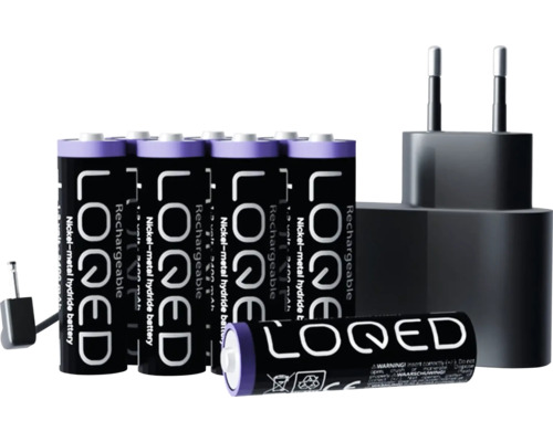Piles rechargeables avec chargeur