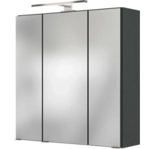 Armoire de toilette à trois portes avec luminaire LED et corps gris foncé.