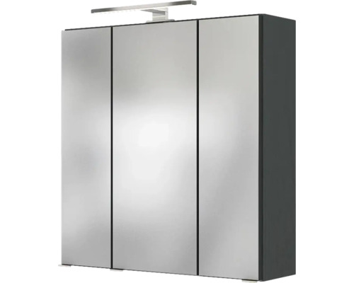 Armoire de toilette à trois portes avec luminaire LED et corps gris foncé.