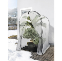 Tente pour plantes avec plantes sur une terrasse en hiver