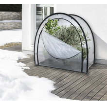 Tunnel de serre avec des plantes sur une terrasse en bois en hiver