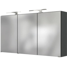 Armoire de toilette avec trois portes, deux lampes LED et corps sombre pour la salle de bain.
