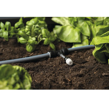 Bewässerungssystem im Beet mit Gemüse und Kräutern