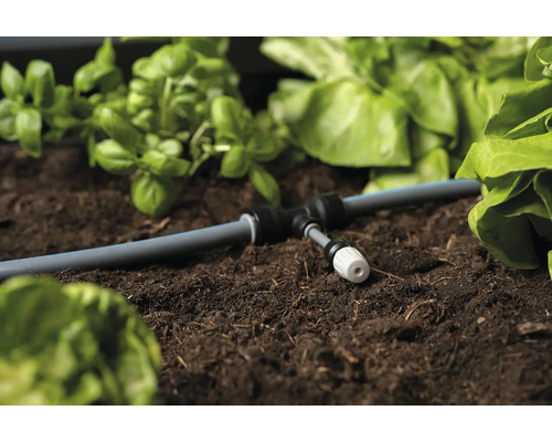 Système d'irrigation dans un parterre avec des légumes et des herbes aromatiques