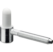 Fiche de porte avec boulon et capuchon en plastique