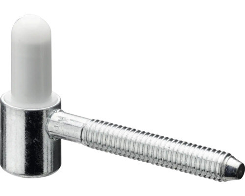 Fiche de porte avec boulon et capuchon en plastique