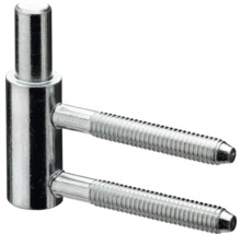 Paumelles à visser avec boulons pour portes