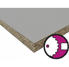 Panneau de particules avec revêtement