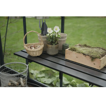 Gros plan d'une table de serre avec un panier, une plante et des pots