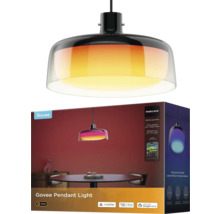 Govee smarte Pendelleuchte mit Glasschirm für innen, Matter Unterstützung, App-Steuerung und Produktverpackung.
