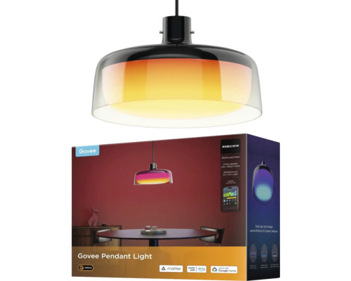 Govee smarte Pendelleuchte mit Glasschirm für innen, Matter Unterstützung, App-Steuerung und Produktverpackung.