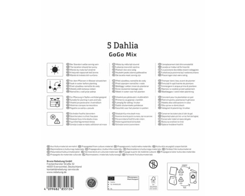 Verpackung mit 5 Dahlien der Sorte GoGo Mix mit Pflanzhinweisen und Entsorgungshinweisen