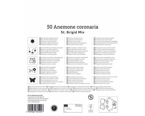 Verpackung mit Informationen zu Anemone coronaria St. Brigid Mix Blumenzwiebeln, Pflanzhinweisen und Logos für Nachhaltigkeit