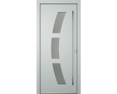Haustür mit Glaseinsatz und Stangengriff