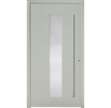 Haustür mit Glaseinsatz und Stangengriff