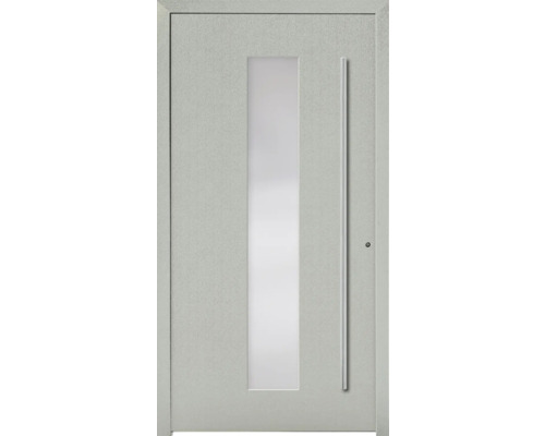 Haustür mit Glaseinsatz und Stangengriff