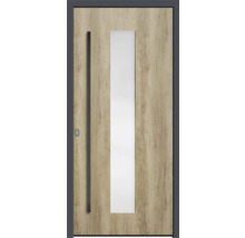 Haustür mit Holzdekor und Glaseinsatz