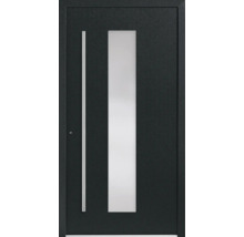 Moderne Haustür mit Glaseinsatz und Edelstahlgriff