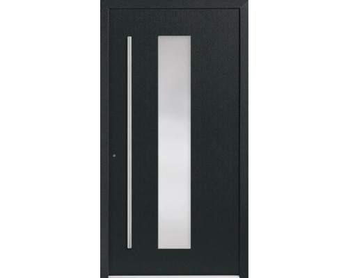 Moderne Haustür mit Glaseinsatz und Edelstahlgriff