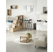 Salon lumineux avec système d'étagères, table, chaise, canapé et kitchenette.