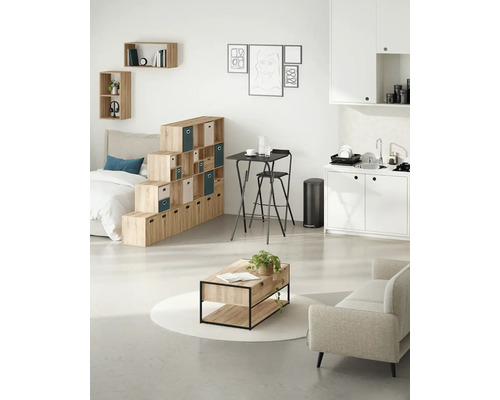 Salon lumineux avec système d'étagères, table, chaise, canapé et kitchenette.