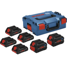 Jeu d'accumulateurs Bosch avec sept accumulateurs et une mallette de rangement