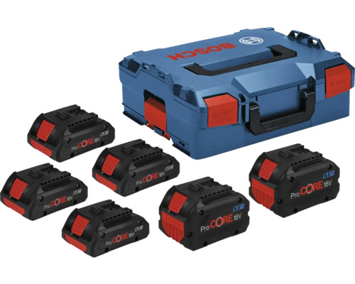 Jeu d'accumulateurs Bosch avec sept accumulateurs et une mallette de rangement