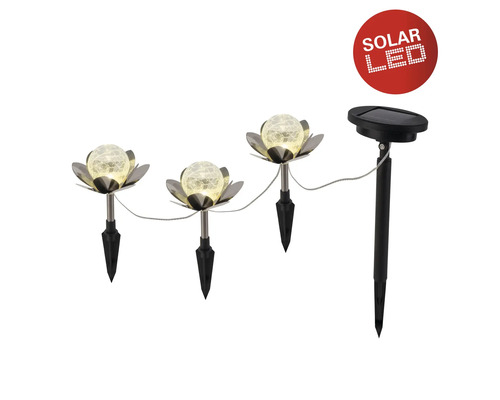 Set de lampes solaires avec éclairage LED en forme de fleur pour le jardin