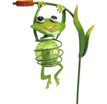 Solar-Gartenstecker in Form eines lächelnden grünen Frosches aus Metall und Glas, der an einem Schilfrohr hängt.