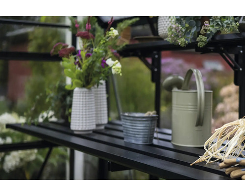 Scène de jardin avec arrosoir, pots de fleurs et accessoires de jardinage sur une étagère dans une serre.
